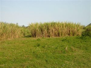 1057 m² Land available in La Mercy