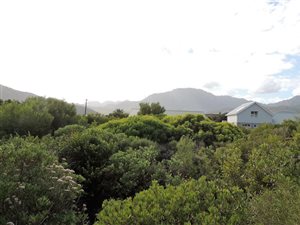 600 m² Land available in Pringle Bay