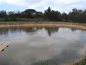 8.7 ha Farm in Kraaibos