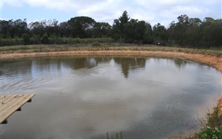 8.7 ha Farm in Kraaibos