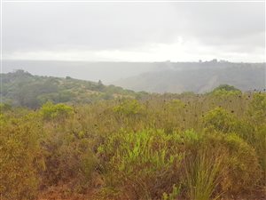 23 ha Farm in Klein Brak River