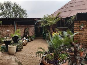 21 ha Farm in Middelburg Central