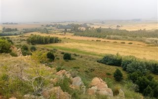 30 ha Farm in Nigel