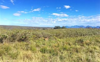 300 m² Land available in Gondwana Game Reserve