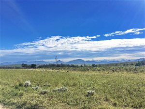 300 m² Land available in Gondwana Game Reserve