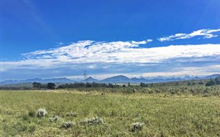 300 m² Land available in Gondwana Game Reserve