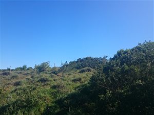 1206 m² Land available in Port Alfred