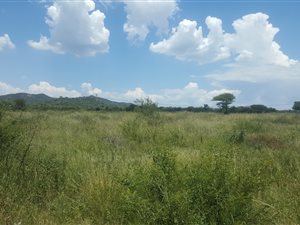 1250 m² Land available in Ga-rankuwa