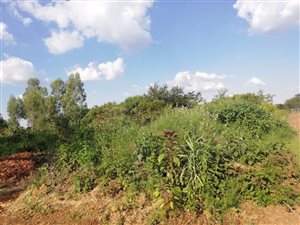 980 m² Land available in Zwavelpoort