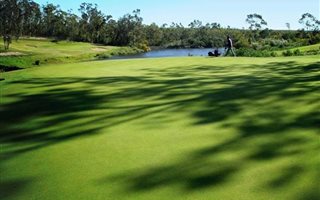 717 m² Land available in Wedgewood Golf Estate