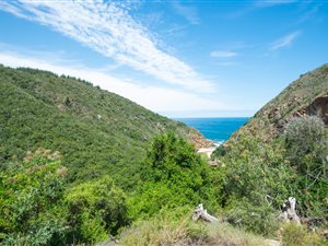 465 m² Land available in Ballots Bay