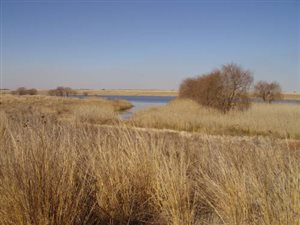 931 m² Land available in Bronkhorstbaai