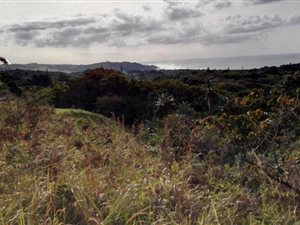 1579 m² Land available in Palm Beach