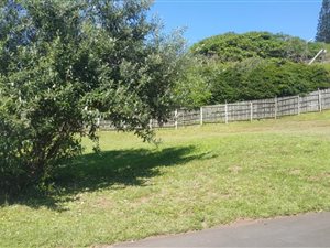 893 m² Land available in Umzumbe