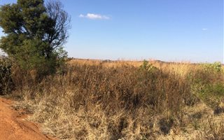 4 ha Land available in Tiegerpoort