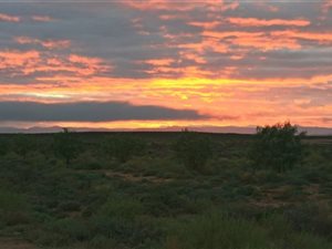 1500 ha Farm in Ceres