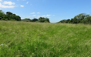 1501 m² Land available in Mtunzini