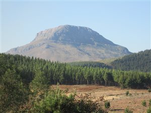 20 ha Land available in Hogsback