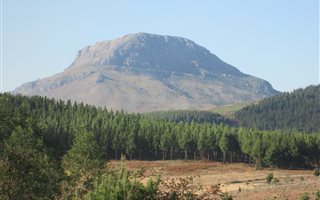 20 ha Land available in Hogsback