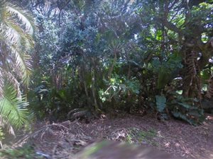 1396 m² Land available in Glenmore