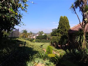 4 Bed House in Sterrewag