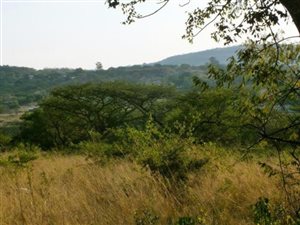 11.4 ha Farm in Nelspruit
