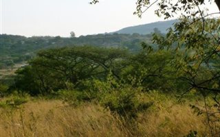 11.4 ha Farm in Nelspruit