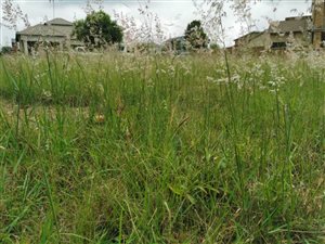 691 m² Land available in The Hills