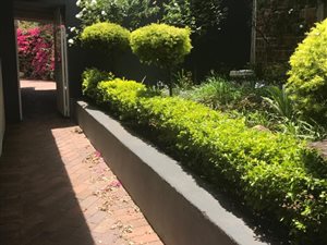 1 Bed Garden Cottage in Emmarentia