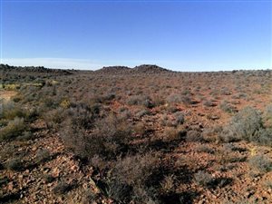 4714 ha Farm in Calvinia
