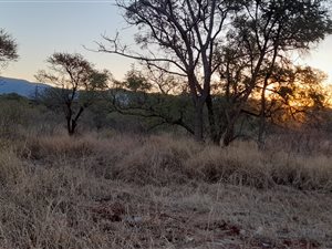 9184 m² Land available in Mokopane