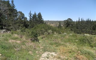 7.2 ha Land available in Sedgefield
