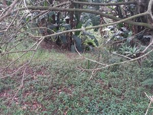 2161 m² Land available in Pumula