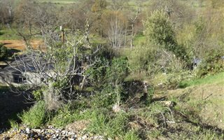 789 m² Land available in Pniel