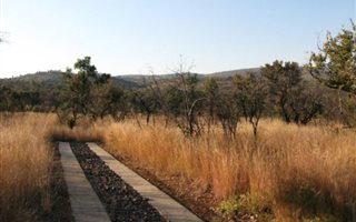 2500 m² Land available in Zwartkloof Private Game Reserve