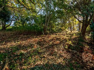2064 m² Land available in Crestview