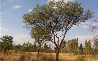 1070 m² Land available in Kameeldrift East