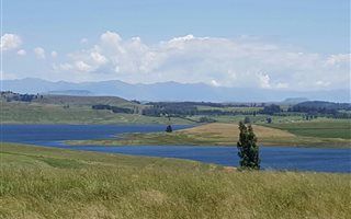 8 ha Land available in Rosetta