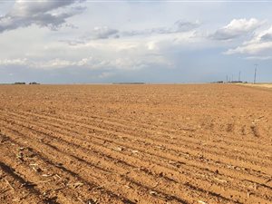 259 ha Farm in Delareyville