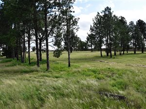 1 ha Land available in Kyalami AH