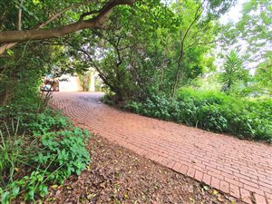 4015 m² Land available in Ferndale