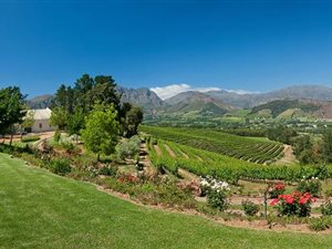18.4 ha Farm in Franschhoek