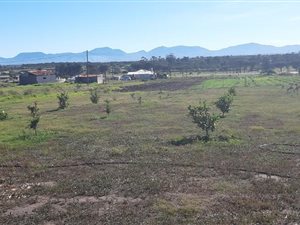 2.1 ha Farm in Albertinia