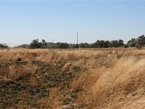 5.1 ha Farm in Doringkloof