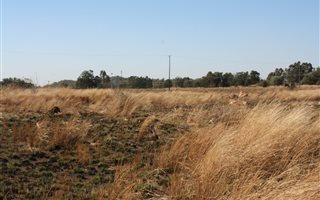 5.1 ha Farm in Doringkloof