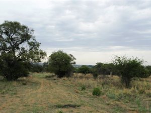 8 ha Farm in Grootvlei