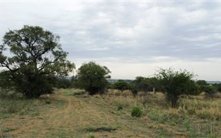 8 ha Farm in Grootvlei