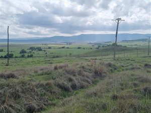 2.3 ha Land available in Hutten Heights
