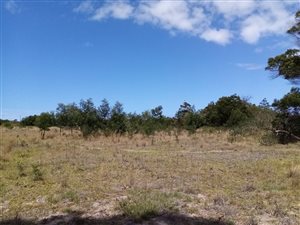 34 ha Land available in East London Rural