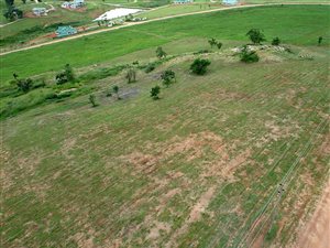 1.5 ha Land available in White River